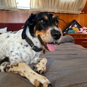 Meet your Posher, John